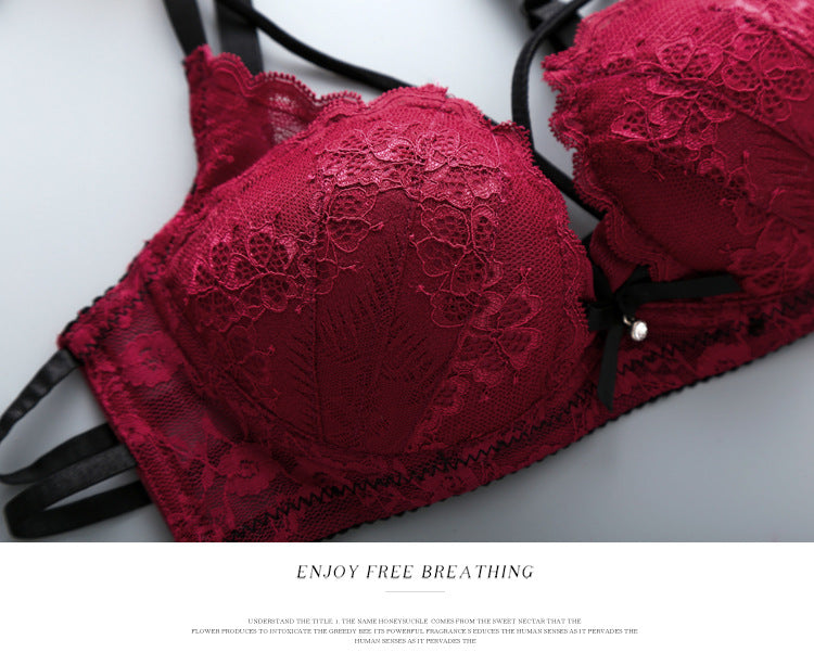 Flourish Push Up Padded Lace Bra And Panty Set Back Closure Seamless Lingerie Set 1801