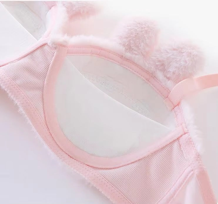 New High Quality Sexy Cute Anime Soft Plush Design bra underwear Japanese cartoon rabbit underwear Bra & Panty Set 582