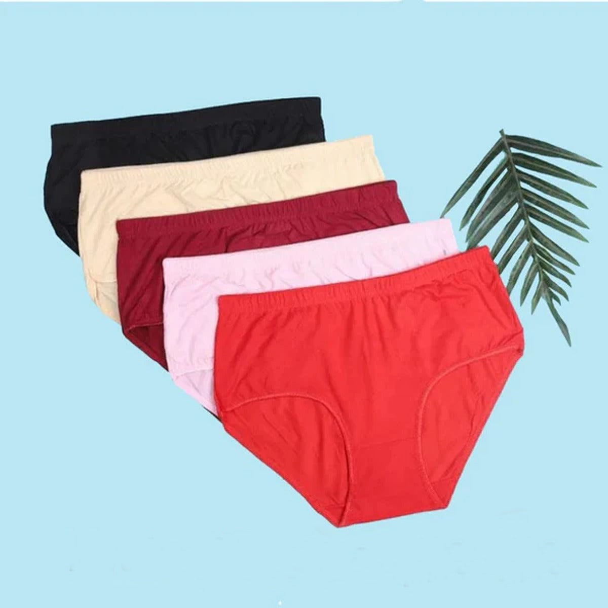Flourish Budget Pack of Comfortable Cotton Brief Women Seamless Underwear Panties