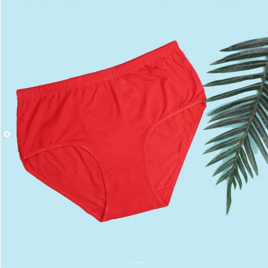Flourish Budget Pack of Comfortable Cotton Brief Women Seamless Underwear Panties