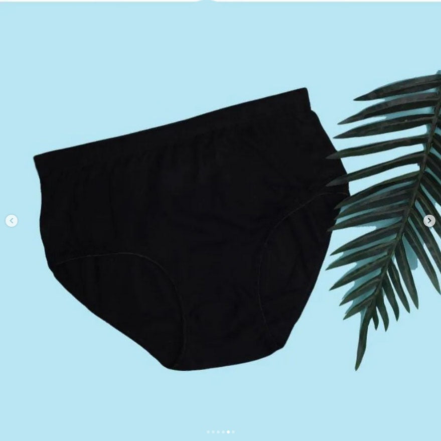 Flourish Budget Pack of Comfortable Cotton Brief Women Seamless Underwear Panties