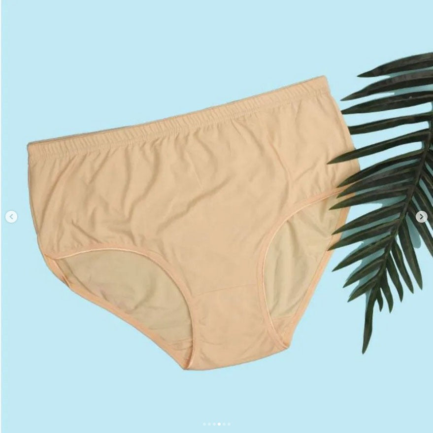 Flourish Budget Pack of Comfortable Cotton Brief Women Seamless Underwear Panties