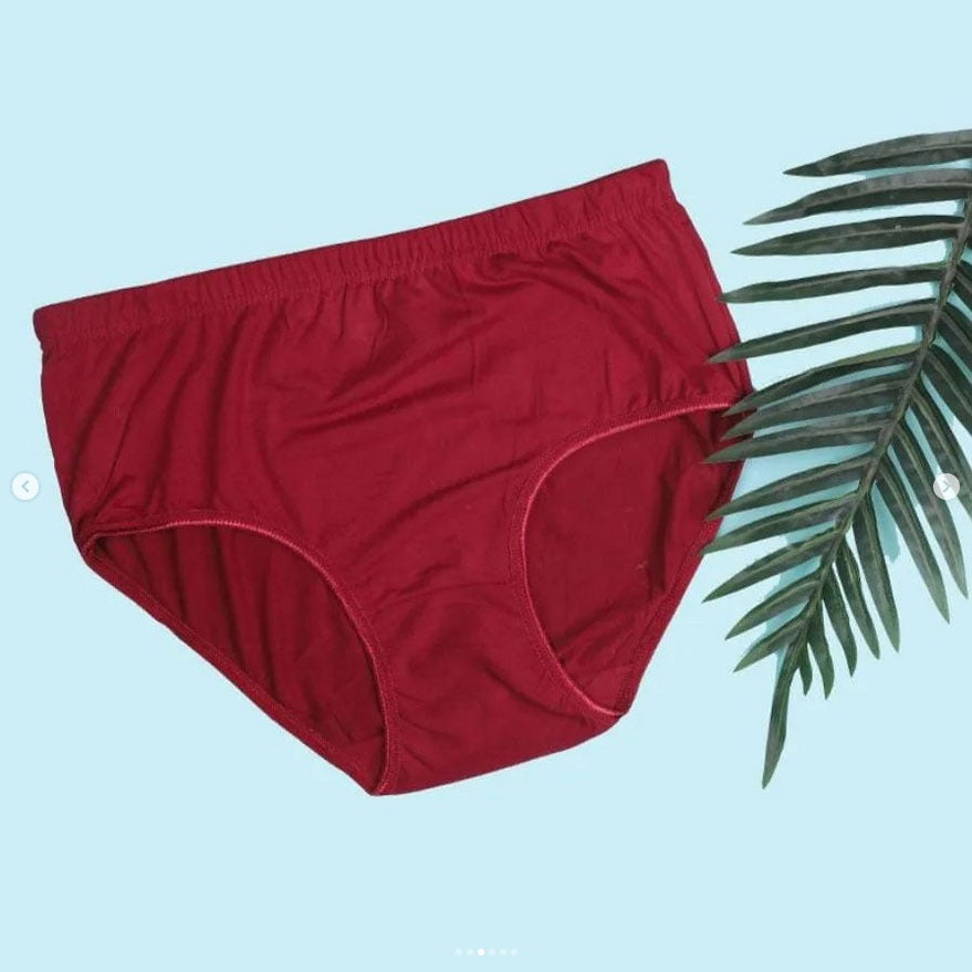 Flourish Budget Pack of Comfortable Cotton Brief Women Seamless Underwear Panties