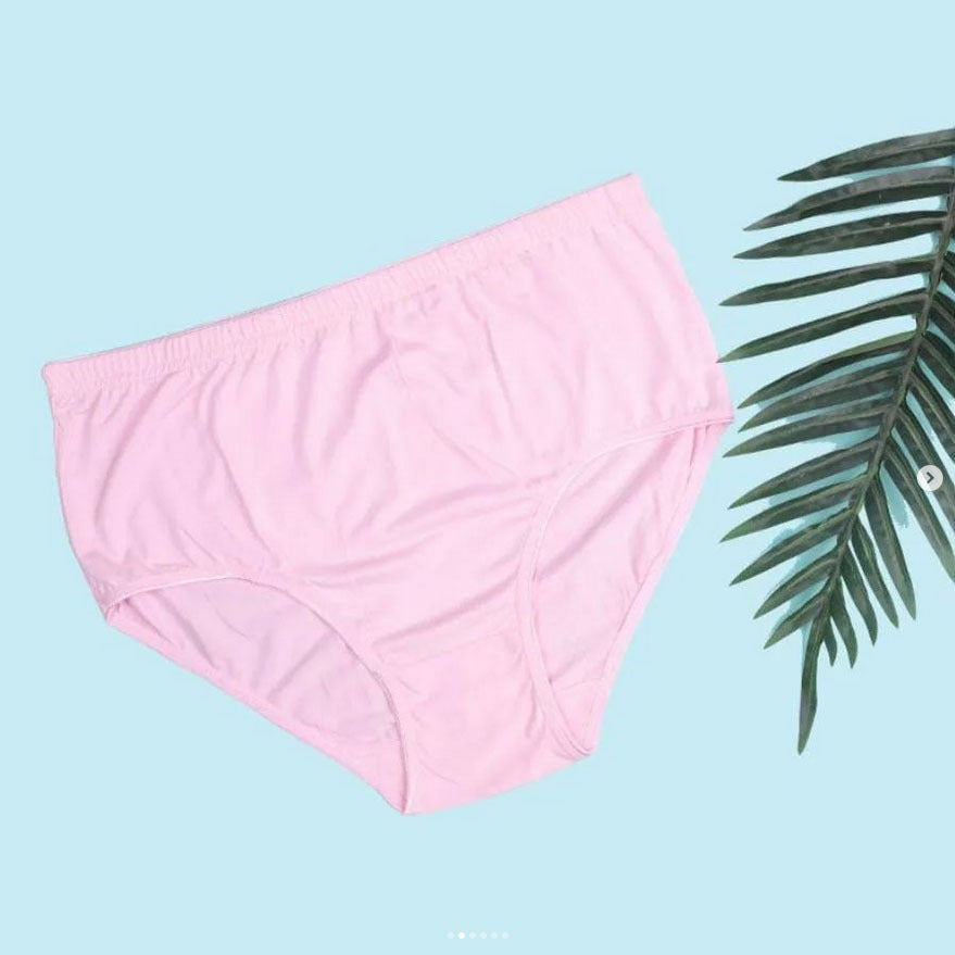Flourish Budget Pack of Comfortable Cotton Brief Women Seamless Underwear Panties